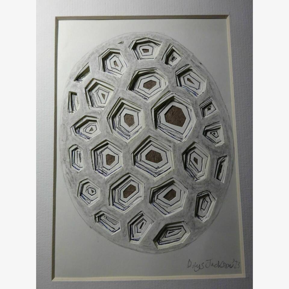 DILYS JACKSON "SMALL POLLEN FORM IV " GRAPHITE AND INK CUT PAPER 21 X 13 CM, MOUNTED 25.5 X 20.5 £210
