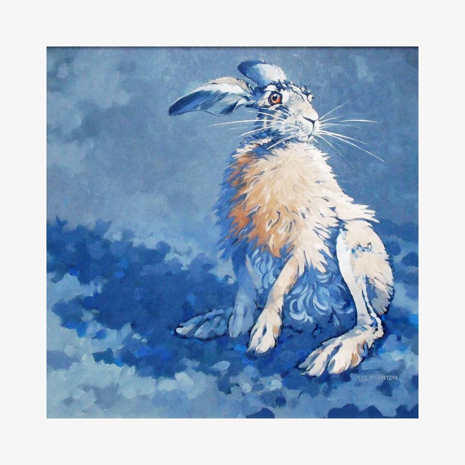 COLIN SEE PAYTON - SITTING HARE I, OIL ON CANVAS, 51X51CM, £3,500