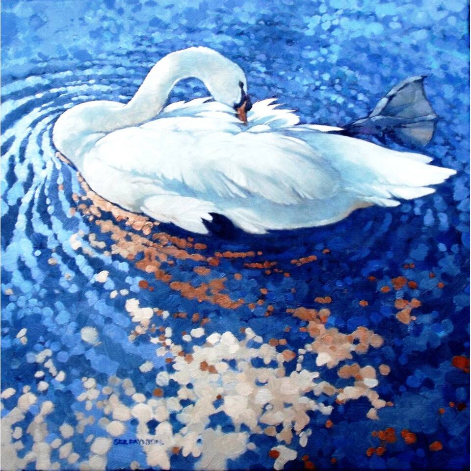 COLIN SEE PAYTON - SUNLIT SWAN, OIL ON CANVAS, 51X51CM, £3500