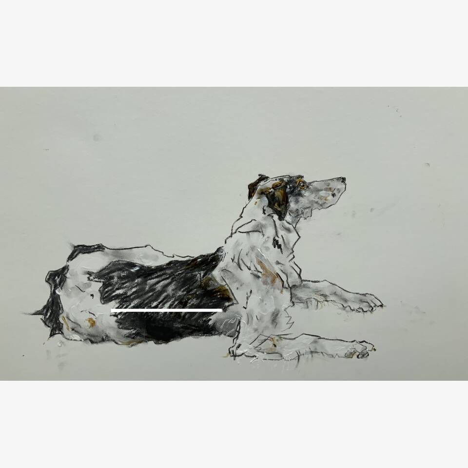 SALLY MATTHEWS - DOG, CHARCOAL, VARNISH AND GESSO, 92X59CM, £1,800