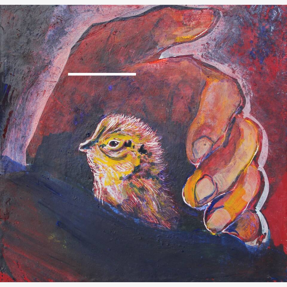 SUSAN NUGENT - A BIRD IN THE HAND VII, EGG TEMPERA ON A GESSO GROUND, 20X20CM, £440