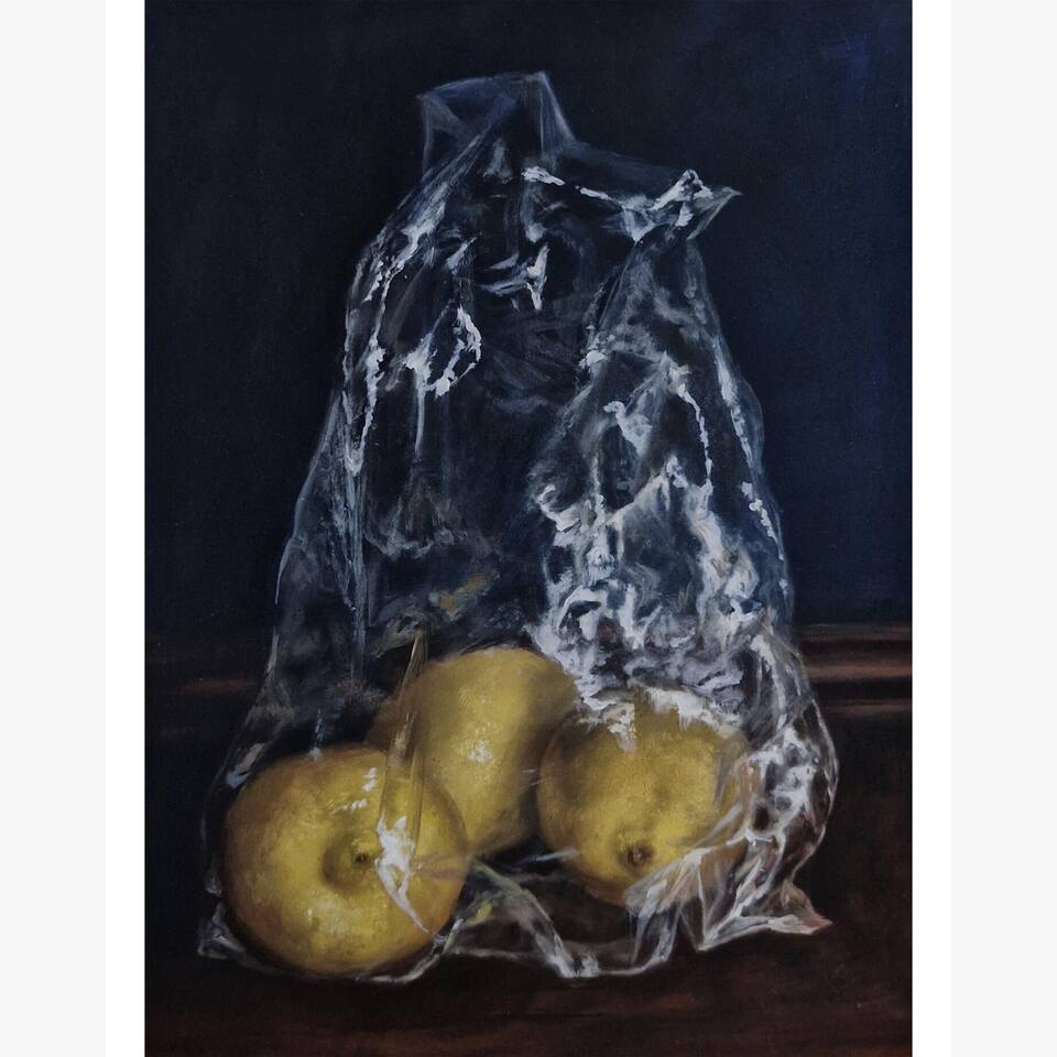 JULIE DAVIES ARCA 'BAGGED' OIL ON BOARD 35 X 45 CM £375