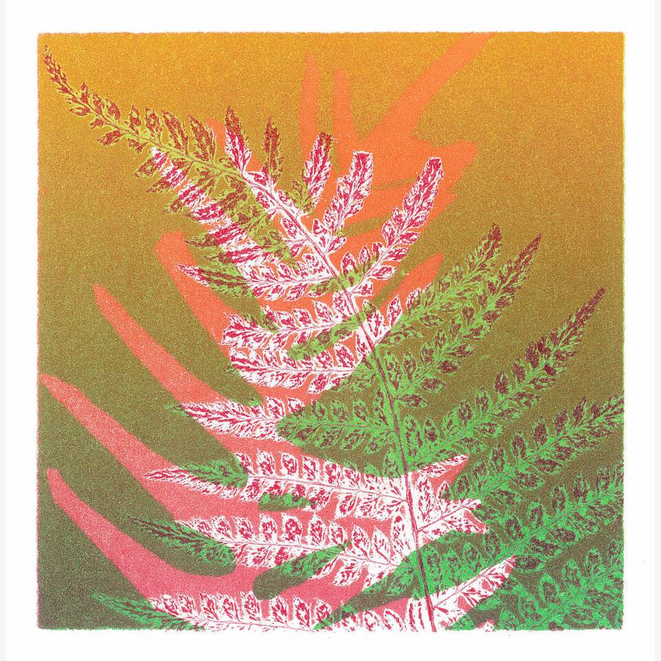 RUTH THOMAS RCA 'FERNS' 25 X 24 FRAMED MONOTYPE £150