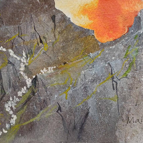 Royal Cambrian Academy of Art Gallery to reopen in 2026