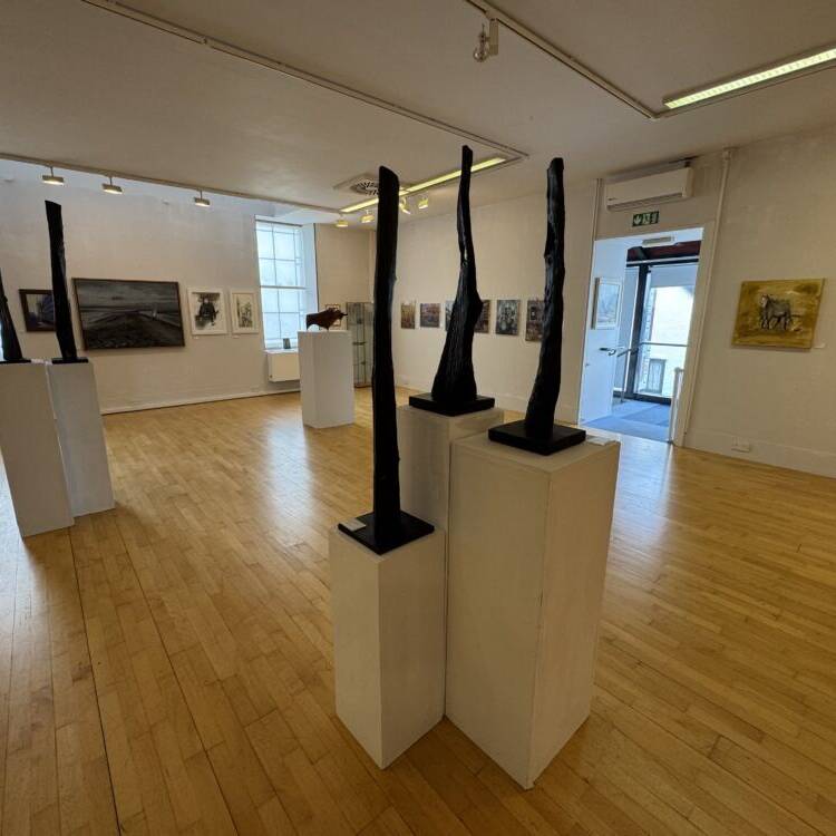 manual override of alt text