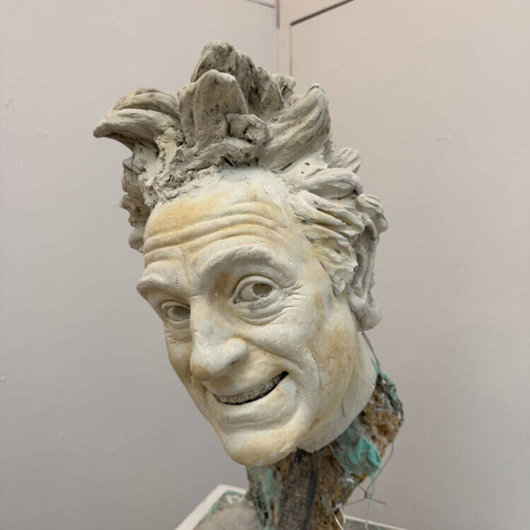 manual override of alt text