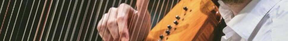 manual override of alt text