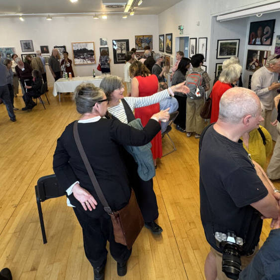 manual override of alt text