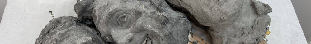 manual override of alt text