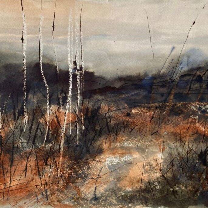 118684 Bedwen I Tudor Mars Jones