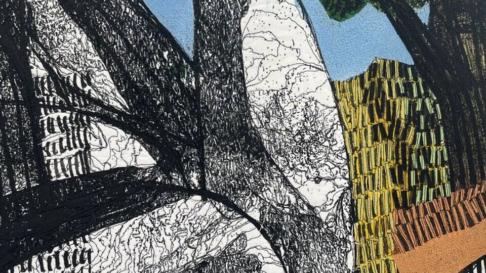 Cefyn Burgess RCA - Behind the Box