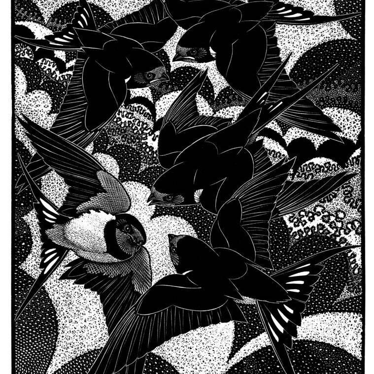 VALEDICTION OF SWALLOWS £525