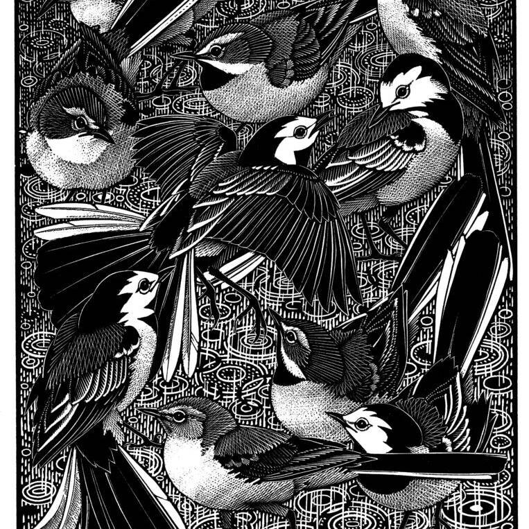 WALK OF WAGTAILS £525