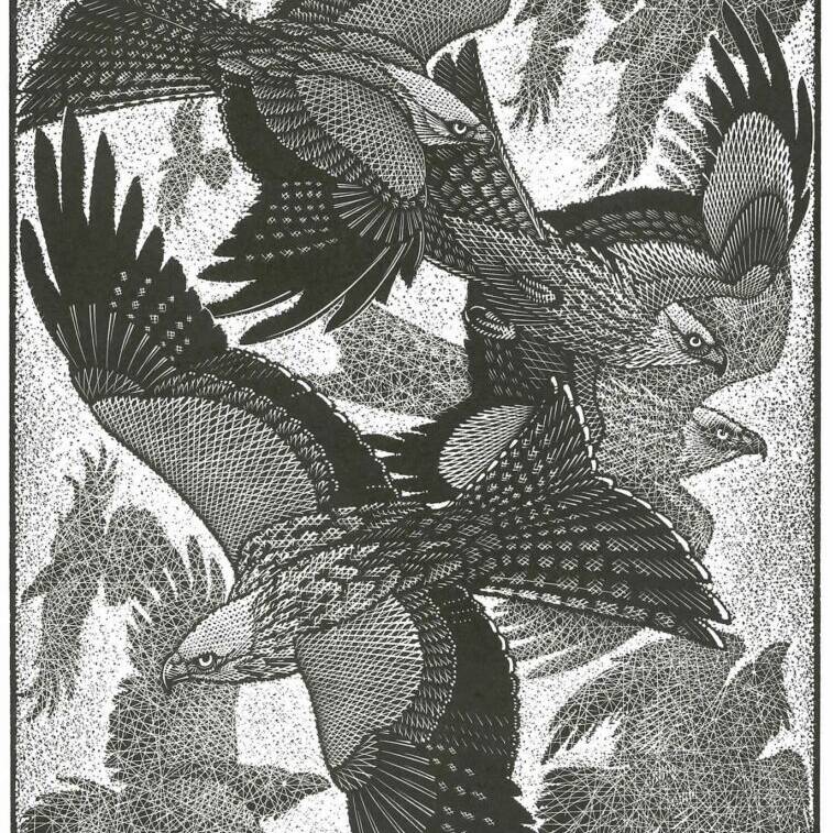 RED KITES AND RAVENS £525