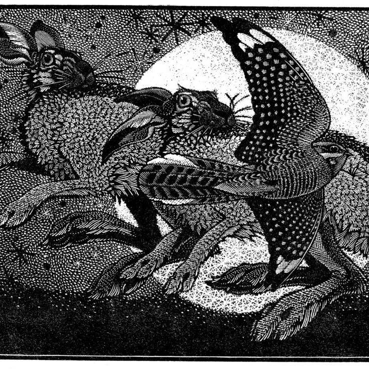 NOCTURNAL ENCOUNTERS HARES AND NIGHTJAR £475