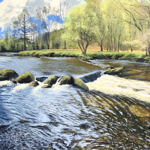 Debbie Baxter - Grym a Gras Dŵr Gwyllt