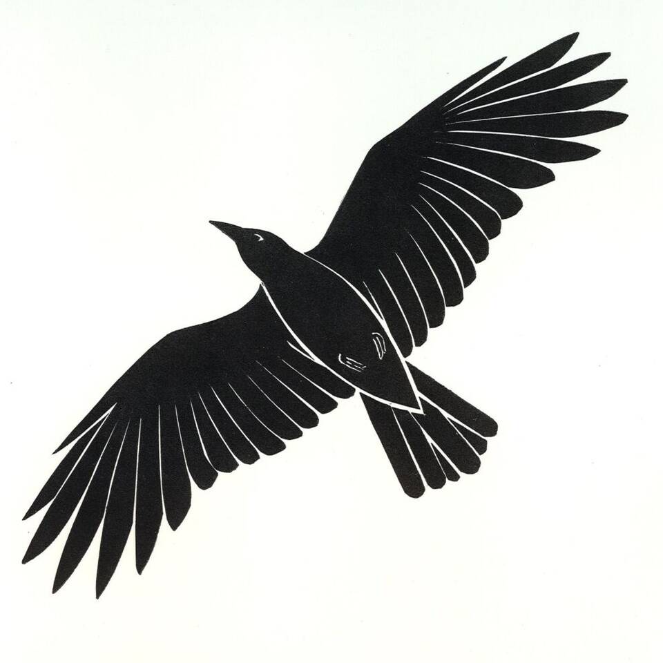 HEDFANOL - Argraffiadau Gwreiddiol Cyfoes o Adar ac Anifeiliaid Hedfanol Eraill