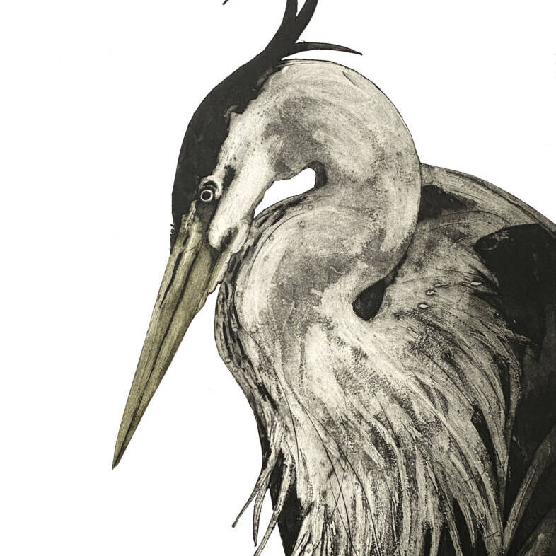 JENNY MCCABE 'POISE' 50 X 40 COLLOGRAPH £325