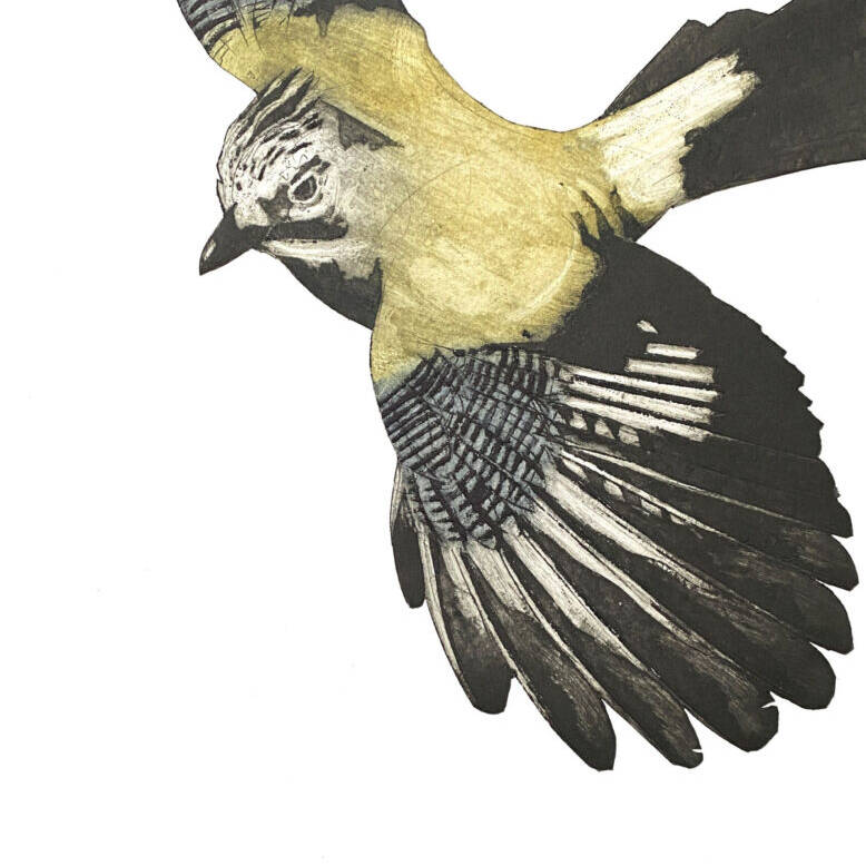 JENNY MCCABE 'FLASH' 50 X 40 COLLOGRAPH £325