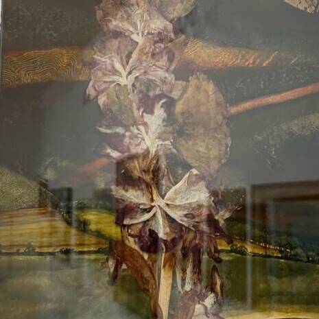 ALAN SALISBURY RCA 'SHRIVALLED PLANT' 2023 OIL PAINT DRIED FLORA AND RESIN ON BOARD £495