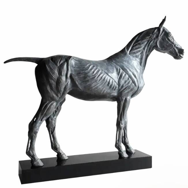 BARRY DAVIES RCA  'ANATOMICAL STUDY OF THE HORSE' BRONZE ON GRANITE BASE 36 X43 CM £3,758