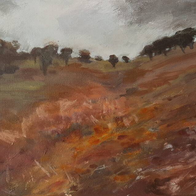 manual override of alt text