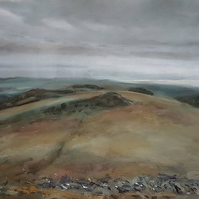 manual override of alt text