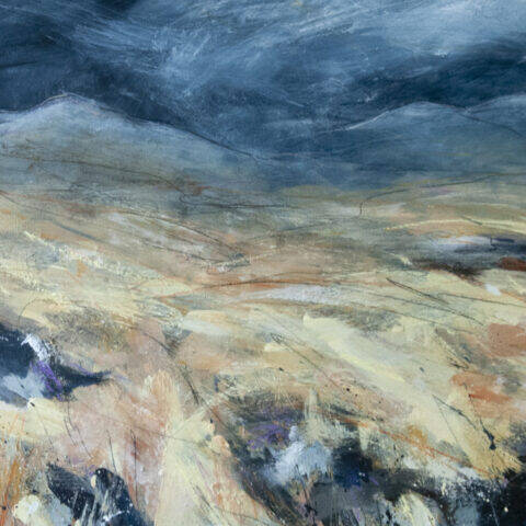 manual override of alt text