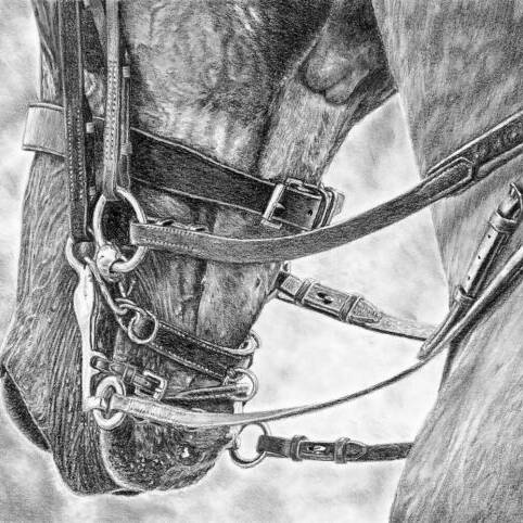 Amy Rostron "The Competitor 1" graphite on paper 87 x 69cm £995