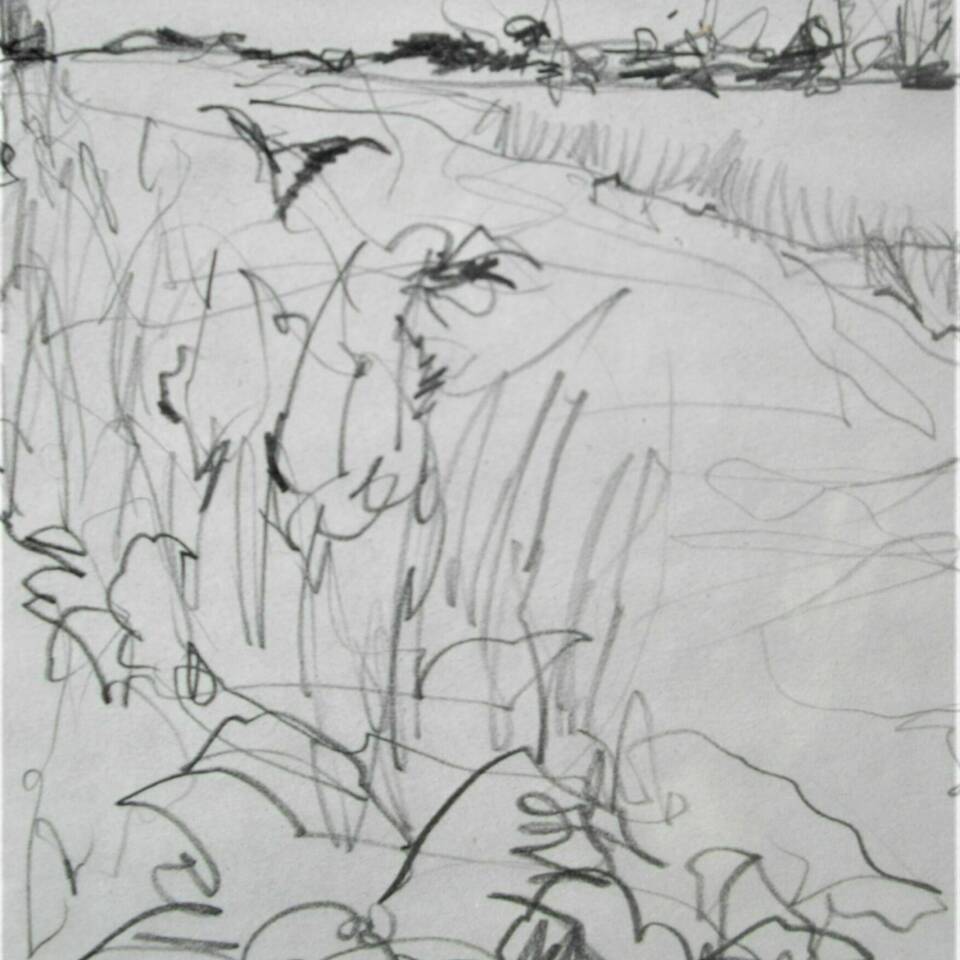 Richard Gant Fen 1 Pencil on Paper36 x 27 cms cms 140