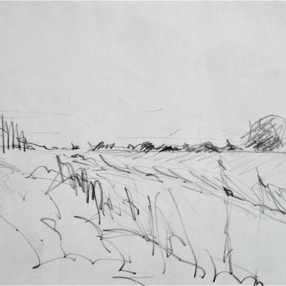 Richard Gant Fen 2 Pencil on Paper 36 x 27 cms 140 3