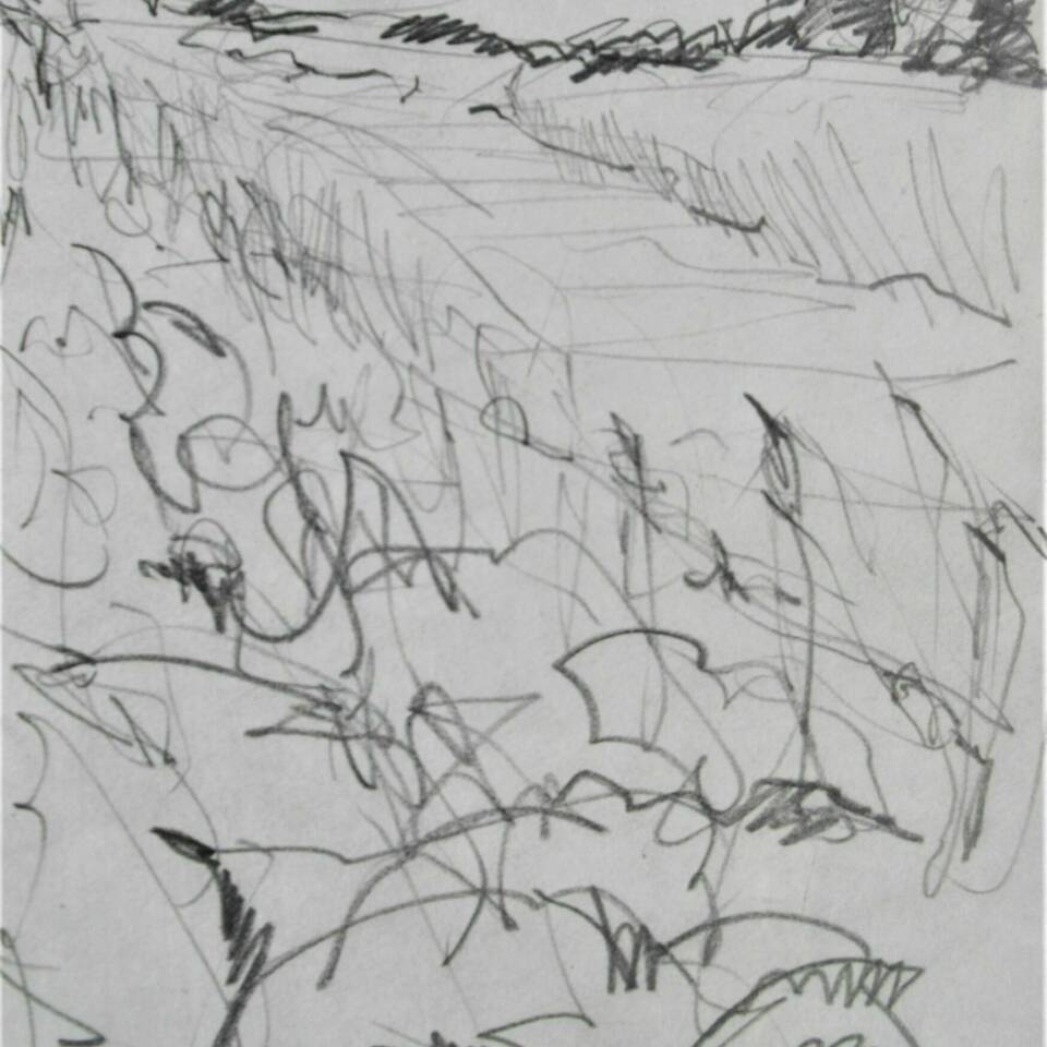 Richard Gant Fen 4 Pencil on Paper 36 x 27cms 140