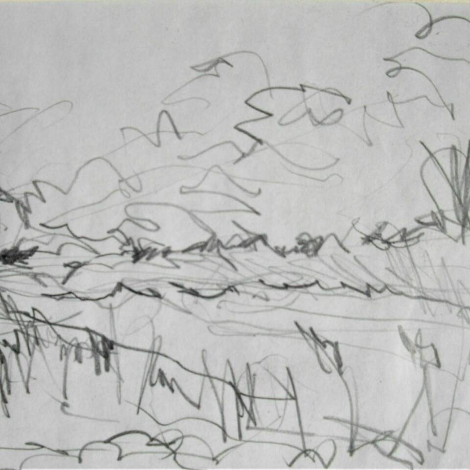 Richard Gant Fen 5 Pencil on Paper 36 x 27 cms 140