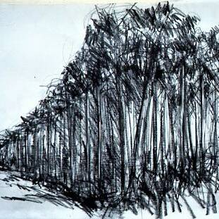 Richard Gant Landes Forest 1 Pencil on Paper 32 x 25 cm 190