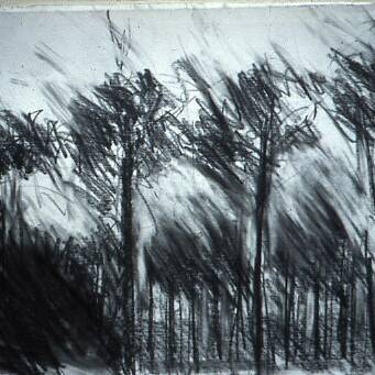 Richard Gant Landes Forest 2 Pencil on Paper 32 x 25 cm 190