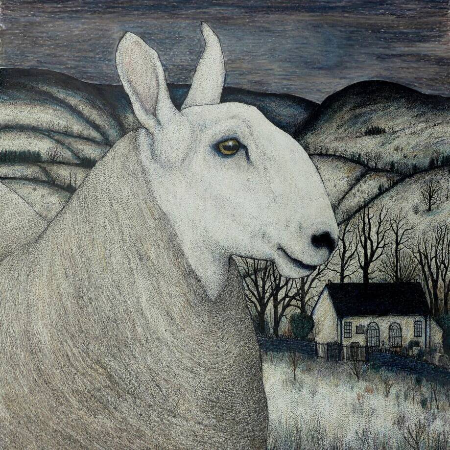 Sentinel £800
