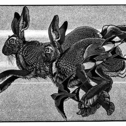 COLIN SEE PAYNTON FLYING WITH HARES RUNNING WITH SWALLOWS 33 x 46 WOOD ENGRAVING £850